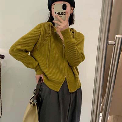 Autumn on the new![F · P] Simple design sense zipper hooded warm sweater BL009 # HBX