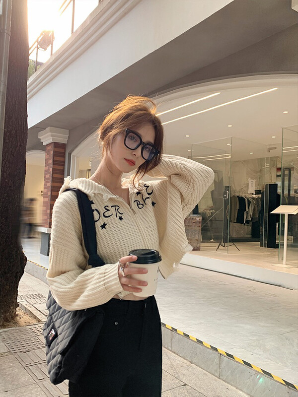 New in autumn! [F·P] Hooded zipper embroidered warm sweater XL039# HBX