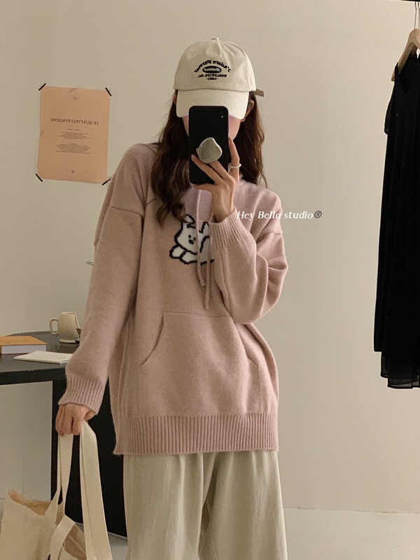New in autumn! [HEY BELLA] Dog Hooded All-match Pullover Warm Sweater 9320# L