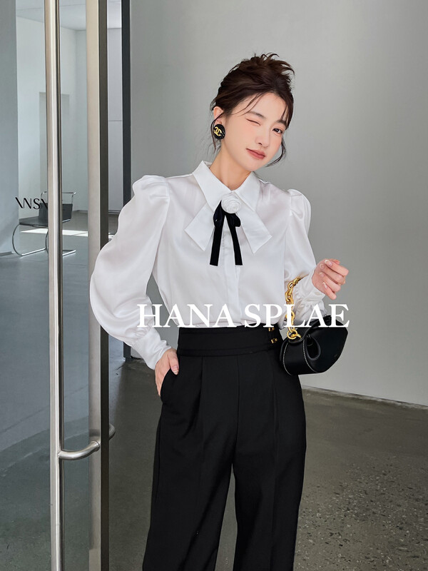 [HANNA Hanna] [Hanna] Women's High Waist Straight Casual Pants Women's 22 Autumn New Casual Pants H3350