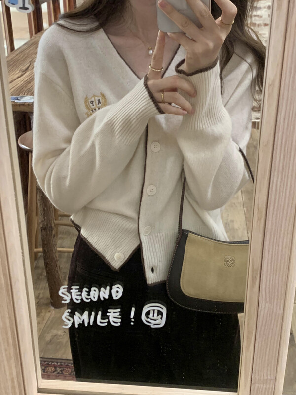 New in autumn! [T.G] Simple and versatile embroidery slimming warm sweater 18557# CLS