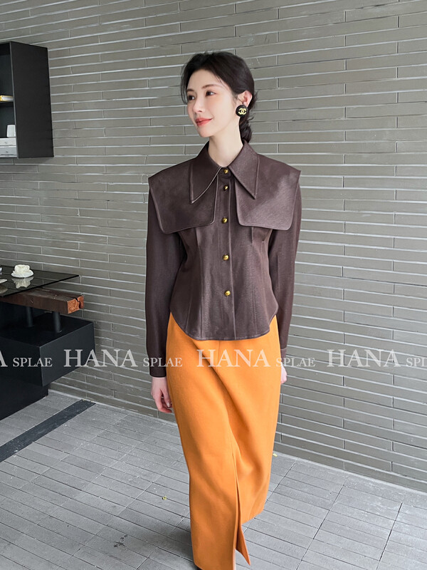 [HANNA Hanna] [Hanna] French retro shirt women's 2022 autumn new style through shirt H10599