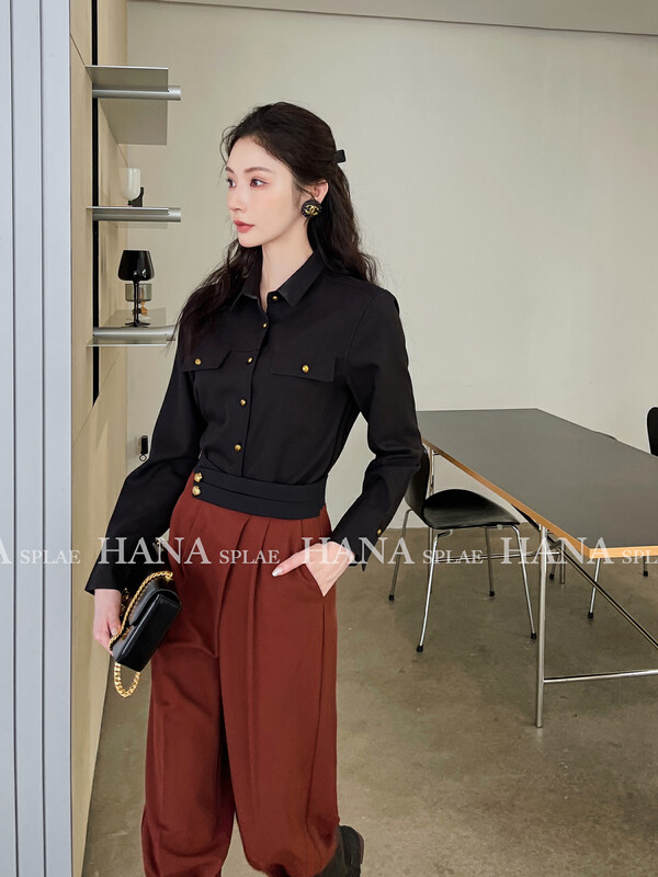[HANNA Hanna] [Hanna] temperament commuter shirt women's autumn new small shirt shirt H10568