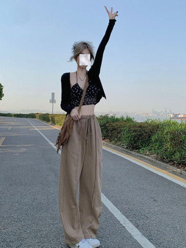 High-waisted casual pants women's autumn thin section thin all-match small loose-fitting wide-leg pants