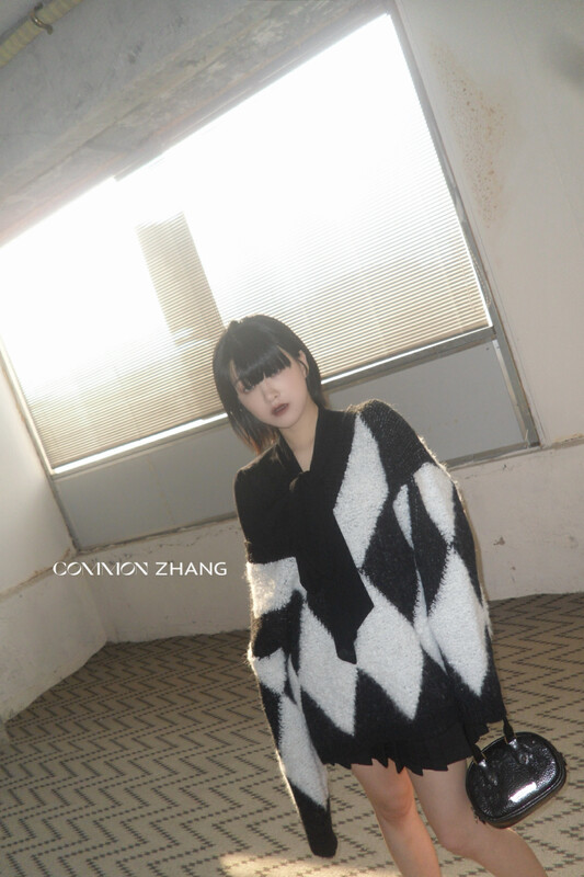 [CZ ZHANG] Big-name retro checkerboard pullover V-neck warm sweater 92077