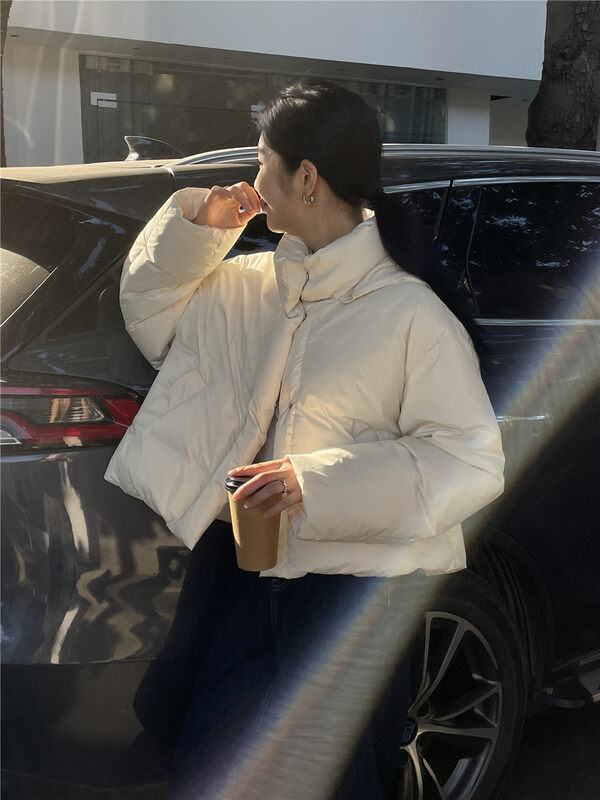 【CLEAN SPACE】Korean Simple Hooded Warm Down Jacket (90 White Duck Down) 33587# CQW