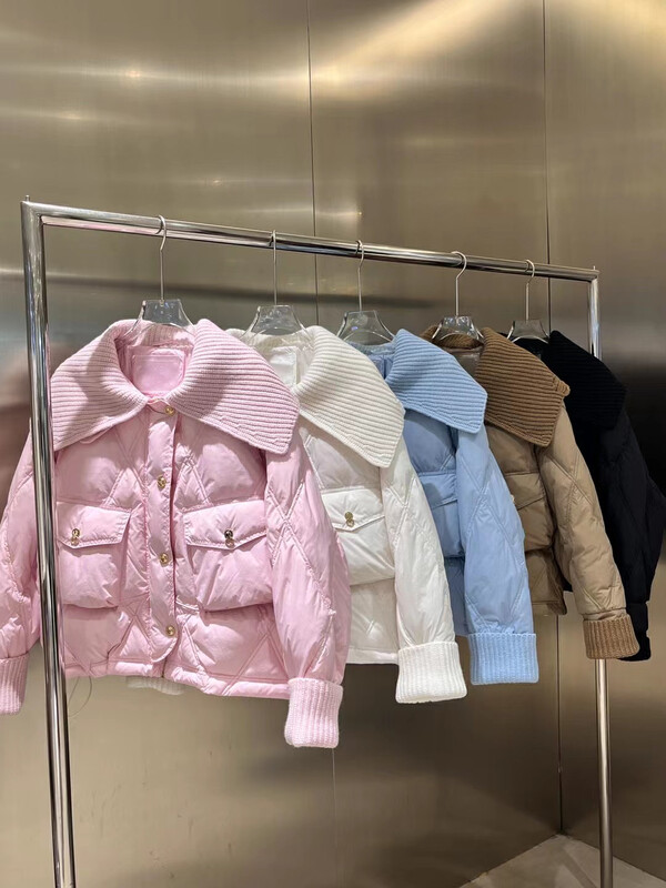【DS】Korean version long-sleeved all-match warm down jacket (including 90% white duck down) 99271D# JHY