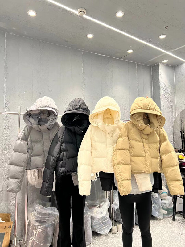 【DS】Fashionable Korean style hooded short warm down jacket (including 90% white duck down) 99283# JHY