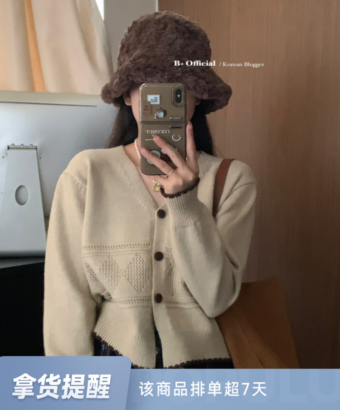 [B Plus] Korean version of fresh and versatile simple commuting thick sweater 22-8422-2