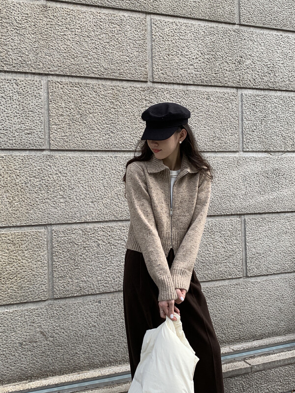 【TN】Casual Simple Lapel Warm Sweater 9217# CLS