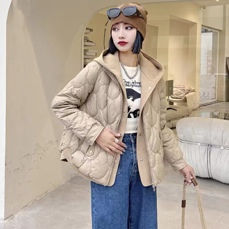 [I-D] Solid color hooded all-match warm down jacket (including 90% white duck down) Y9021# L