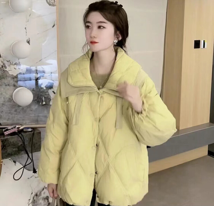 【I-D】Korean style all-match double lapel warm down jacket (including 90% white duck down) 9027# L