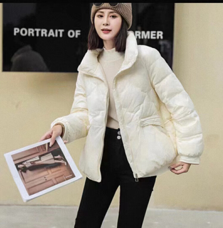 【I-D】Korean version all-match loose warm down jacket (90% white duck down) Y9038# L