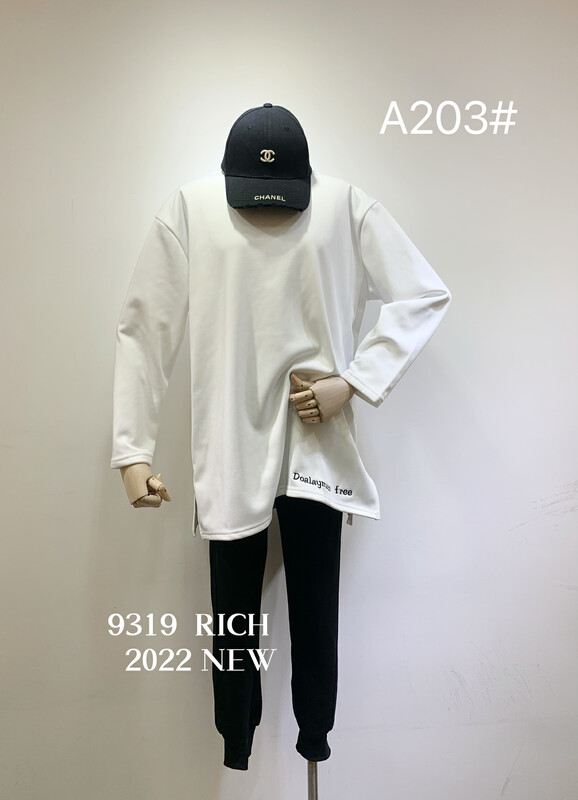 【9319】Embroidered all-match half-high collar plus fleece long-sleeved T-shirt A203# L