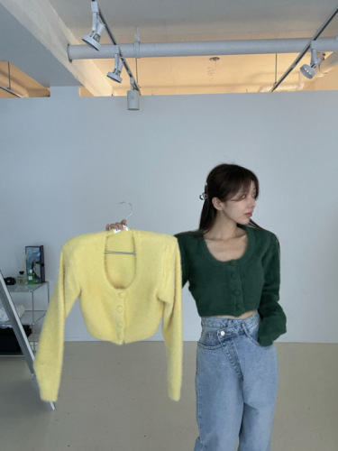 South Korea's Dongdaemun 2022 autumn and winter new single-breasted plush short knit sweater