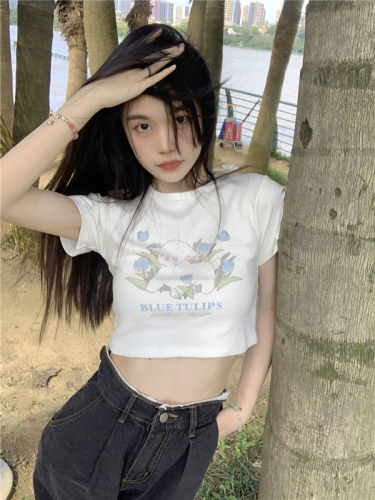 Pure desire wind small sheep print short-sleeved T-shirt women's summer self-cultivation small hot girl short section slim top