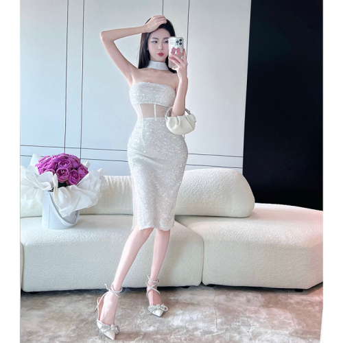 Real shot spot new women's small sexy mesh embroidery sequins slim fit package hip party dress dress
