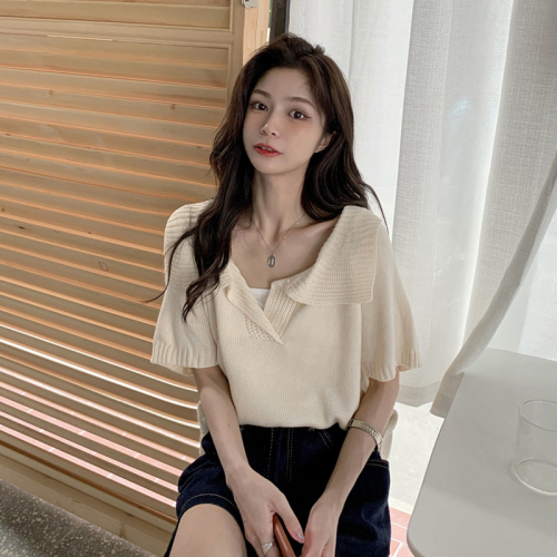 Chic Korean style short-sleeved top clothes female design sense niche 2023 new summer French short-sleeved T-shirt female ins tide
