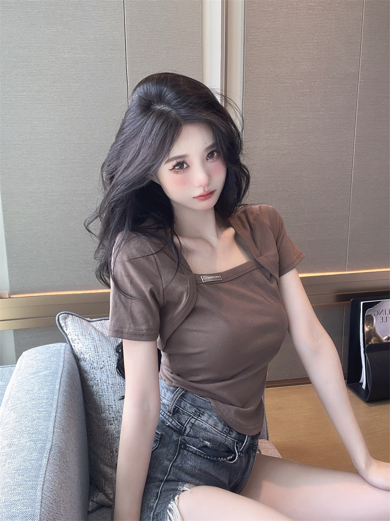 Spice girl square collar short-sleeved T-shirt women's summer pure desire style arc hem short fashion design sense niche top