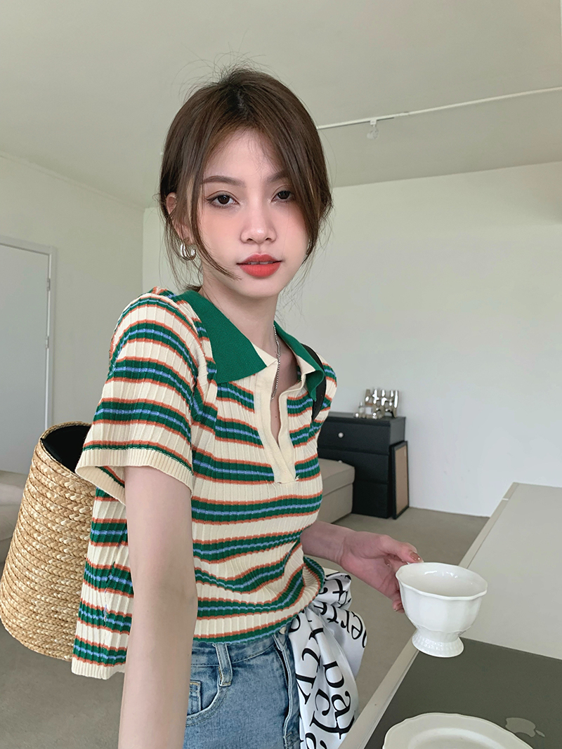 Retro striped sweater thin section summer niche design sense short polo collar T-shirt female chic short-sleeved top