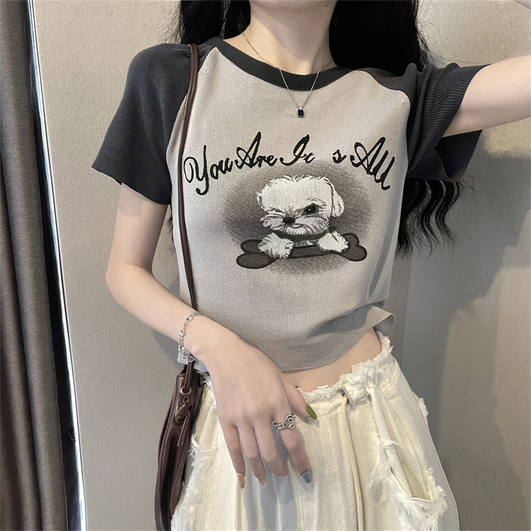 American retro color matching short short-sleeved sweater summer slimming raglan sleeves inner top women