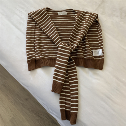 Knitted striped shawl women's summer air-conditioned room neck protection shawl spring and autumn outer wear vest Korean version of foreign style all-match shoulders