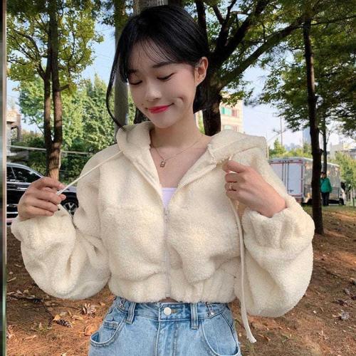 Pure color age-reducing lamb wool suede hooded kangaroo pocket zipper short sweater women's autumn and winter thin small coat