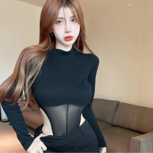 Official picture spring and autumn tight bodysuit top design sense mesh stitching pure desire long-sleeved T-shirt hot girl bottoming shirt female