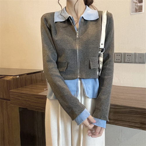 Fake two-piece short sweater female autumn niche design high-quality zipper cardigan knitted jacket
