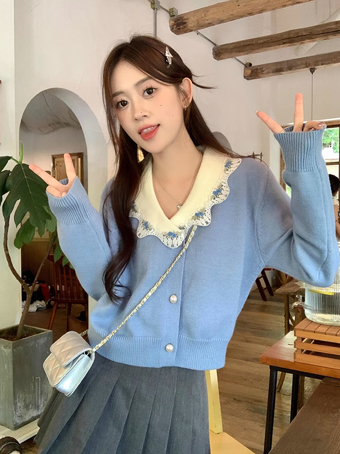Early autumn 2023 new loose lace embroidery lace collar sweet knitted cardigan small top women's clothing