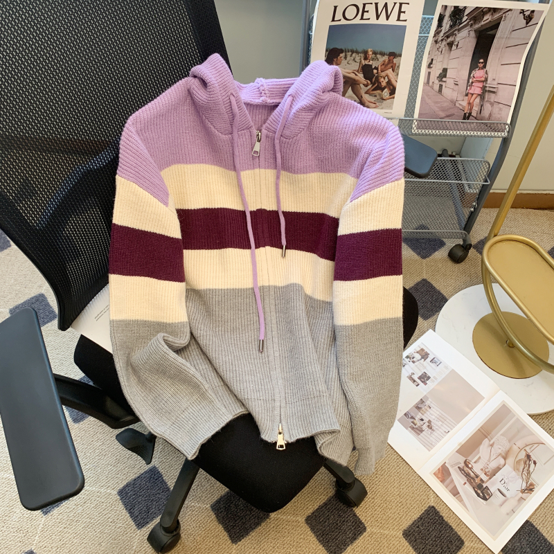 Autumn 2023 new women's zipper hooded sweater jacket women's cardigan spring and autumn high-end outer knitted top