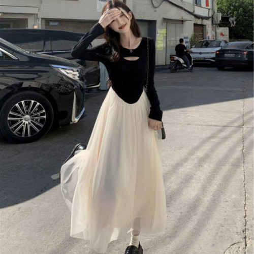 Fake two-piece mesh dress for women with spring coat and bottoming waist long skirt season 2023 new style