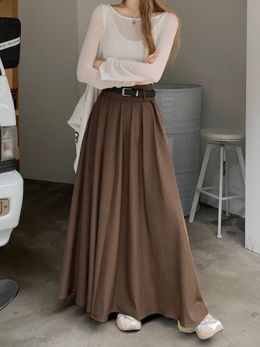 ~Autumn new Korean version design sense pleated skirt large swing skirt suit half-length long skirt women with belt