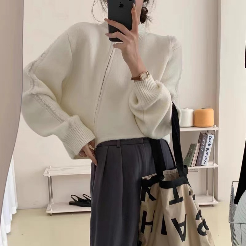 Korean Dongdaemun autumn and winter new zipper cardigan solid color sweater loose niche straight design sweater