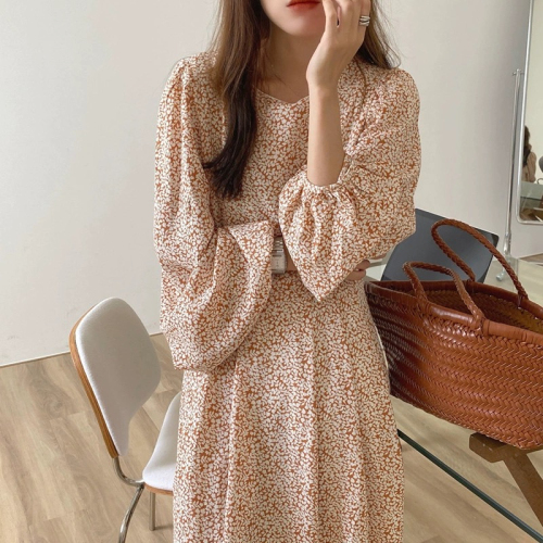 Early autumn dress  new style gentle style long skirt French niche bellflower long-sleeved floral dress women