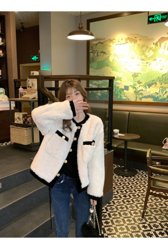 Lamb Plush Short Jacket Women's Autumn and Winter 2023 New Small Versatile Retro Hong Kong Style Loose Long Sleeve Top