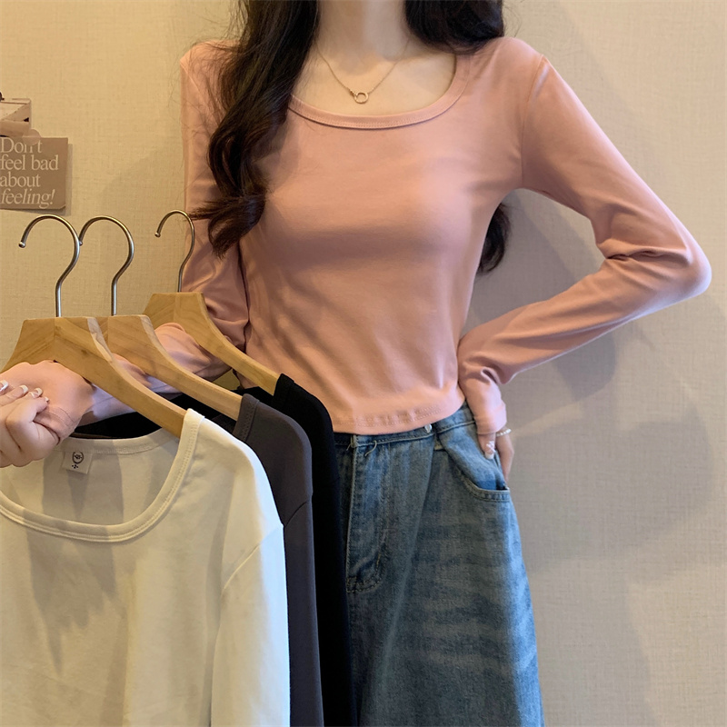 French style inner white slim-fitting bottoming shirt long-sleeved T-shirt women's new short ins top trendy