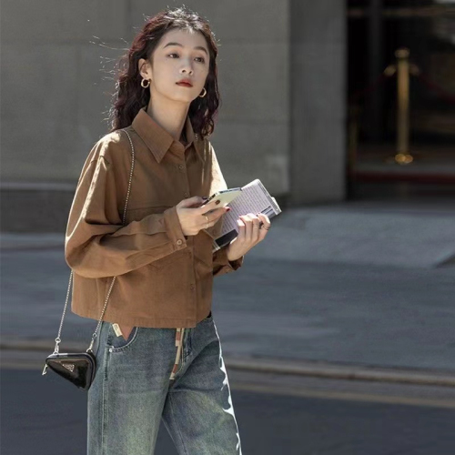 Design niche short coat retro long-sleeved shirt 2023 spring and autumn simple solid color short small shirt for women