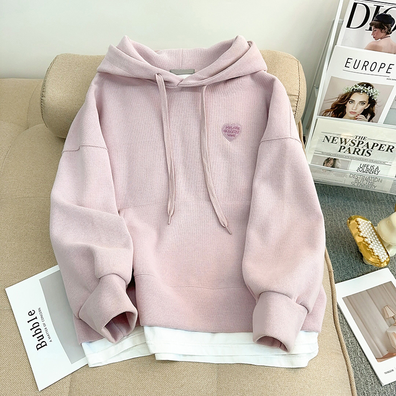 秋季韓版寬鬆華棉複合320克連帽刺繡中長款大碼薄款衛衣女
