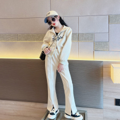 Girls Suit Spring Clothing 2023 New Internet Celebrity Fashionable Children's Clothing Western Style Spring and Autumn Korean Style Jacket Sports Two-piece Set