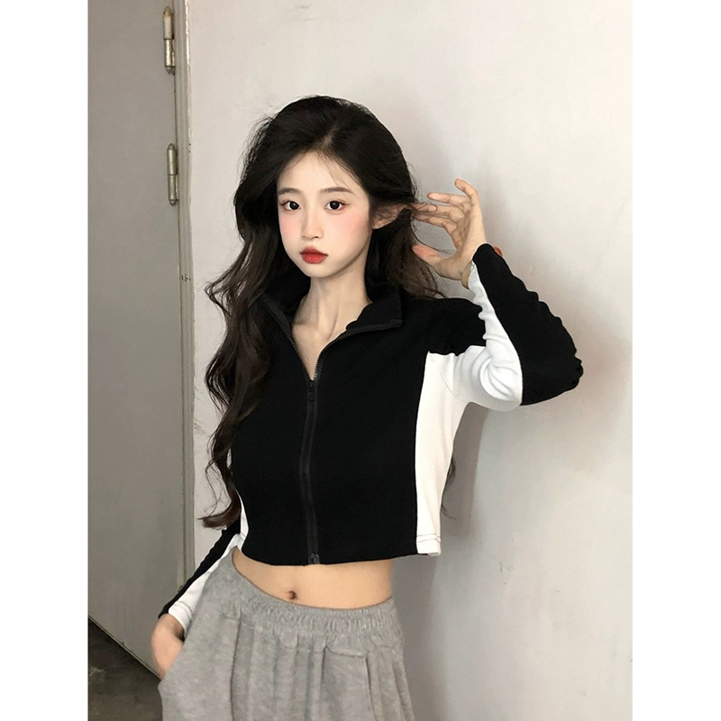 Official photo Pure lust style color-blocked stand-up collar short coat for women autumn 2023 new casual sports style
