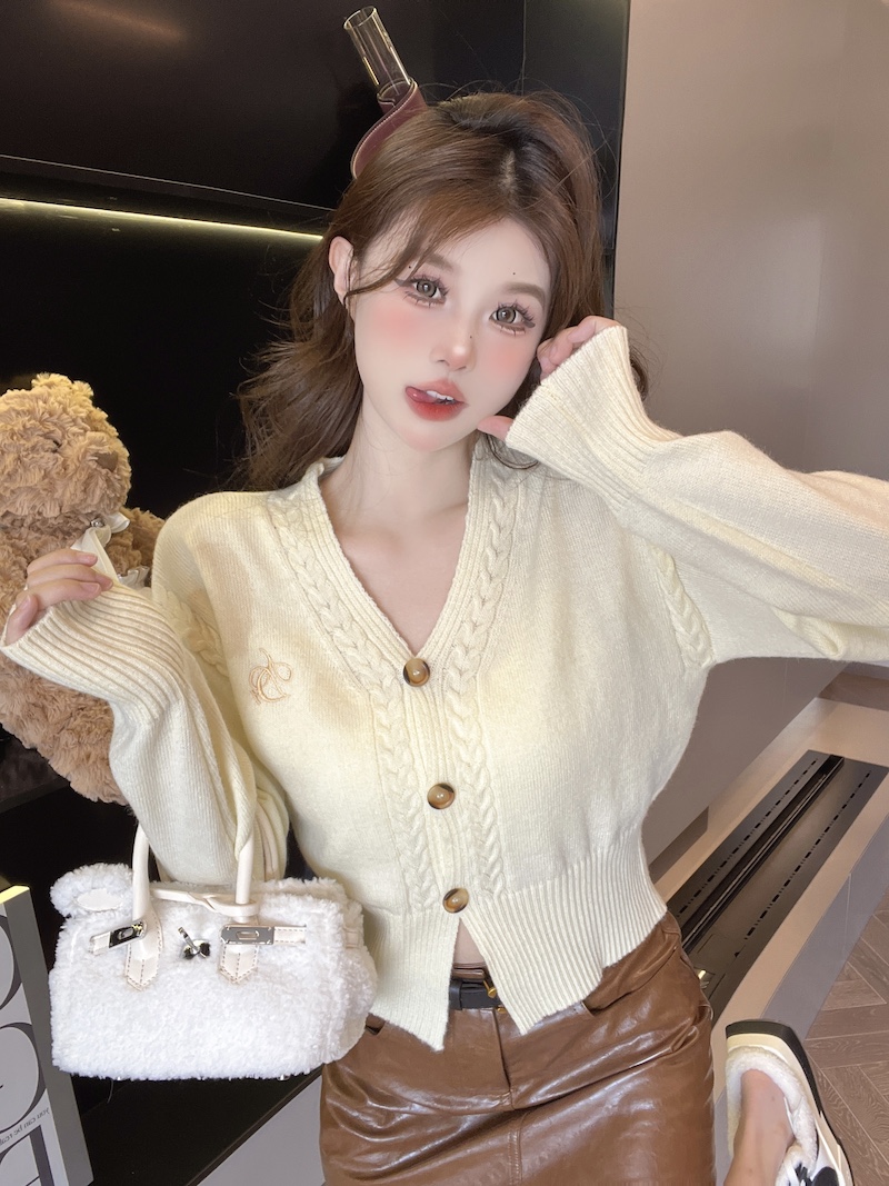 實拍 高級感V領刺繡長袖針織開衫女秋冬軟糯修身短款毛衣外套潮