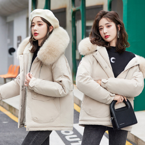 Actual shot of down jacket Korean version  winter new style large fur collar lamb wool cotton coat loose pie jacket women's cotton coat
