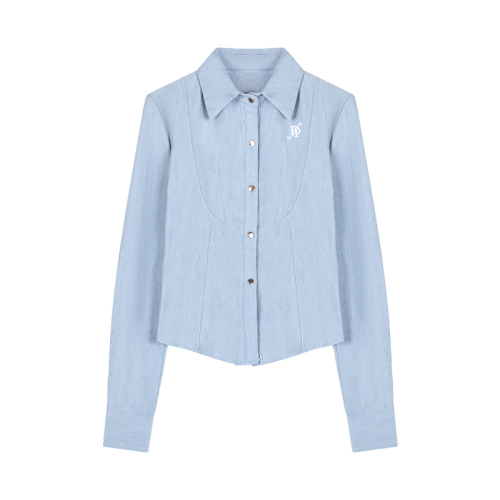 Korean style simple temperament lapel long-sleeved shirt women's niche embroidered shirt autumn design waist slimming top