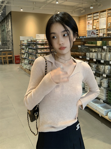 Niche slim fit inner pink long-sleeved sweater for women autumn design sweater slimming bottoming shirt ins top