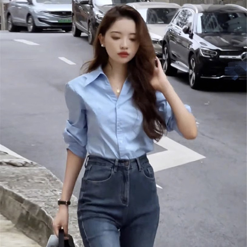 Blue shirt for women 2023 new early autumn French style shirt small long-sleeved top design niche