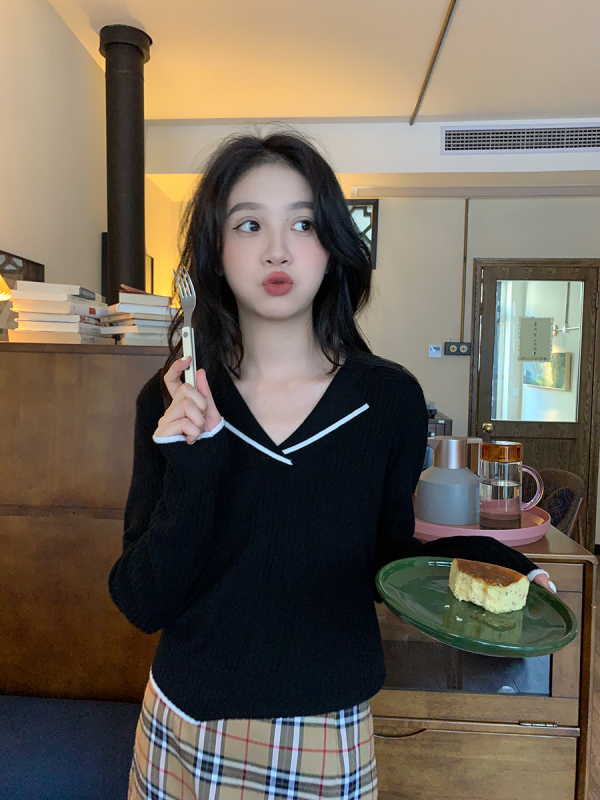 V-neck long-sleeved top women's design niche early autumn new pullover lapel slim bottoming sweater