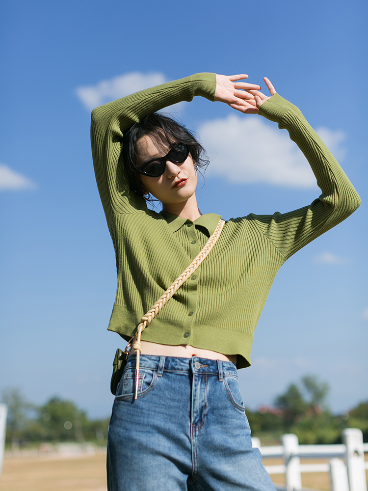 LRUD開衫毛衣女春秋年新款短款polo領針織衫內搭小衫打底上衣