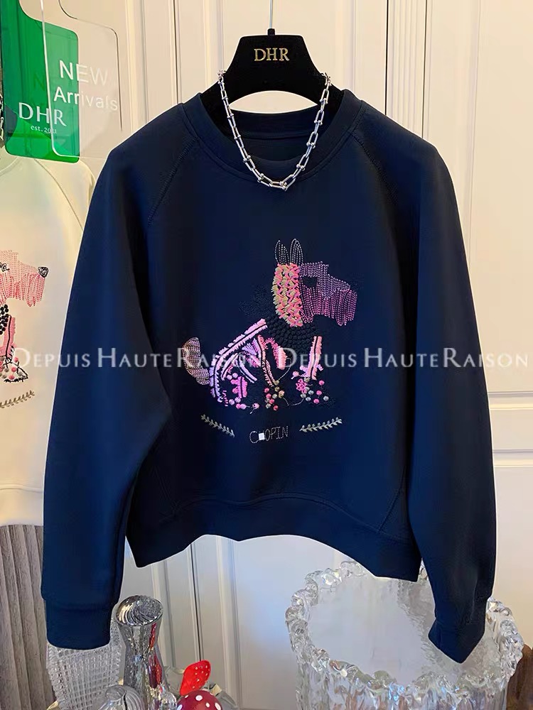 設計感小眾刺繡衛衣女2023新款春秋季薄款寬鬆慵懶風小個子上衣服