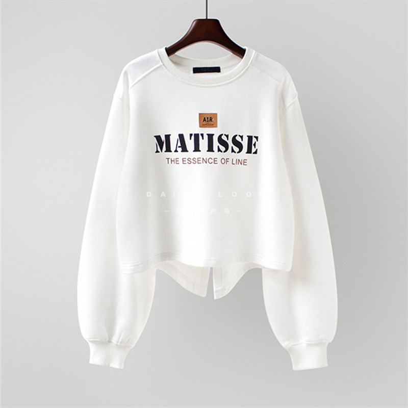 Internet celebrity Korean style sweatshirt women's spring and autumn 2023 new Korean style design niche loose bf pullover jacket ins